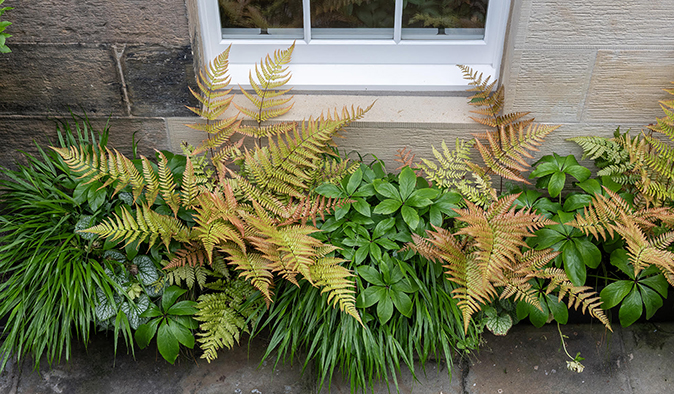 A garden design in New Town